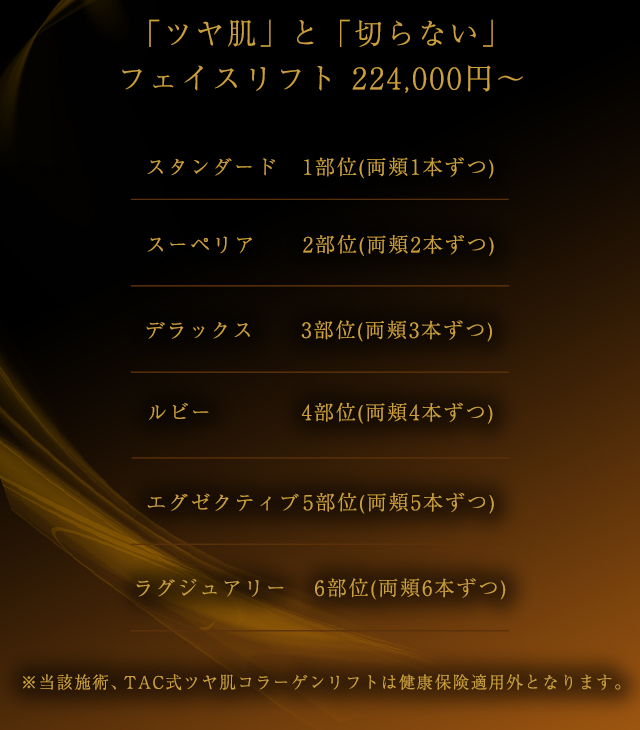 切らないフェイスリフト224,000円~